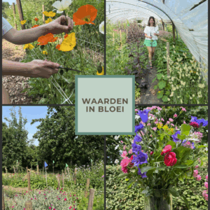 Waarden in bloei 20/9/2025
